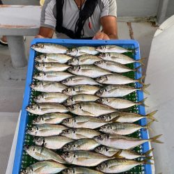 釣人家 釣果