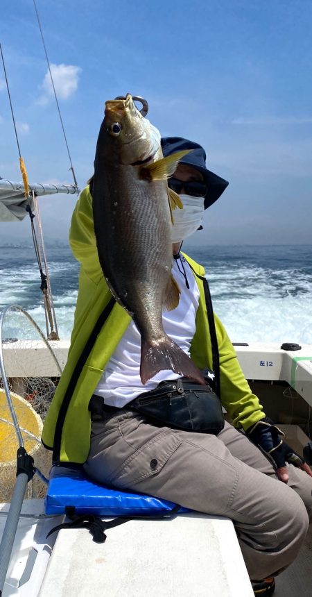 釣人家 釣果