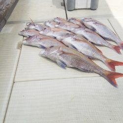 マリンガイド福丸 釣果