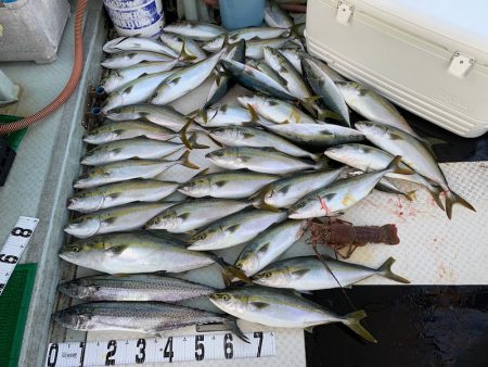 オーシャンスター(Ocean Star) 釣果