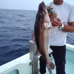 ひな丸 釣果