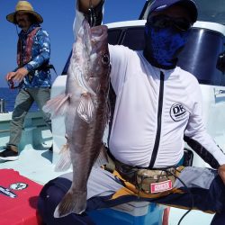 ひな丸 釣果