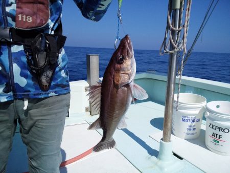 ひな丸 釣果