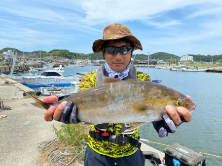 WING 釣果