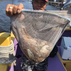 つり幸 釣果