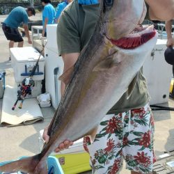 ゆたか丸 釣果