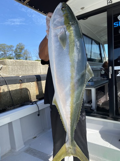 ミタチ丸 釣果