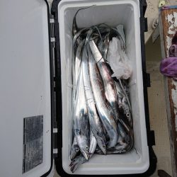 たかみ丸 釣果