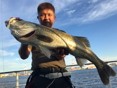 コスモスクエア釣果