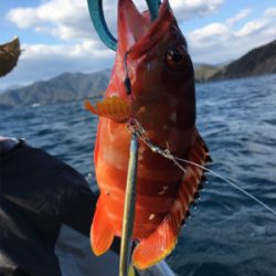 久しぶりの熊野沖でボート釣行