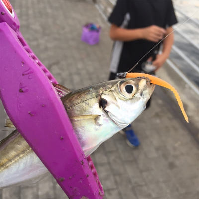 シーサイドコスモでサビキ釣り