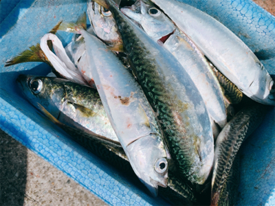 久しぶりの釣り