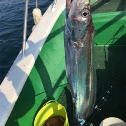 須磨沖で太刀魚釣り