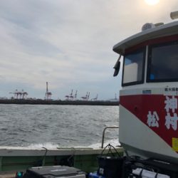 神戸沖堤調査