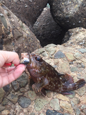 穴釣りは裏切らない