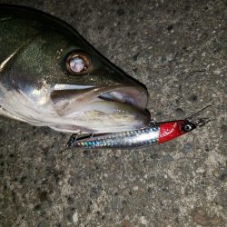 夜練釣行