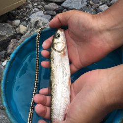 バーベキューがてらの釣り