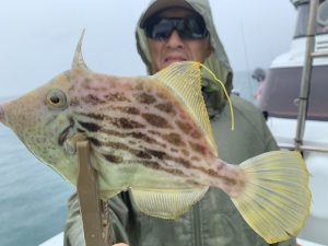 白墨丸 釣果