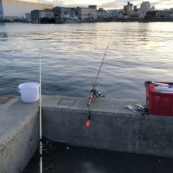 太刀魚釣り失敗だ！