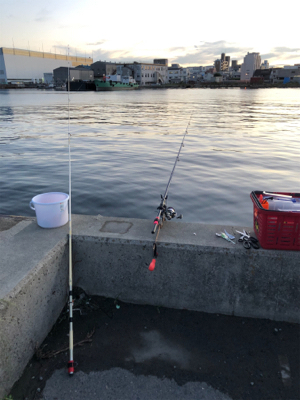 太刀魚釣り失敗だ！