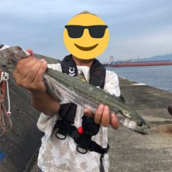 禁断の平日釣行…タチウオ不発も…メジロ、サゴシ