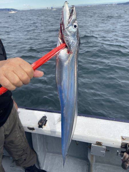 夢丸 釣果