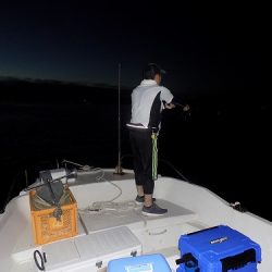 フィッシングボート空風（そらかぜ） 釣果