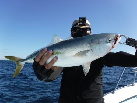 ＢｌｕｅＮｏｔｅ　Ｆｉｓｈｉｎｇ　Ｔａｘｉ 釣果