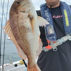 遊漁船　ニライカナイ 釣果