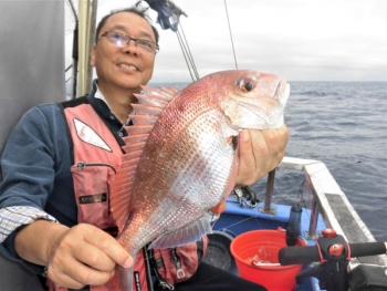 鯛紅丸 釣果