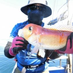 鯛紅丸 釣果