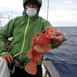 鯛紅丸 釣果