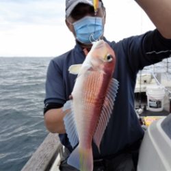 鯛紅丸 釣果