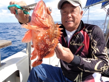 鯛紅丸 釣果