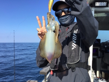 鯛紅丸 釣果