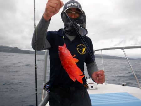 開進丸 釣果