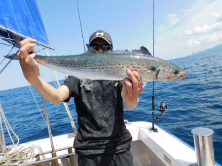 ジギング船 BLUEWATER 釣果