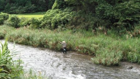 大井川（大井川(非)漁業協同組合） 釣果