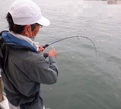 遊漁船 幸友丸 釣果