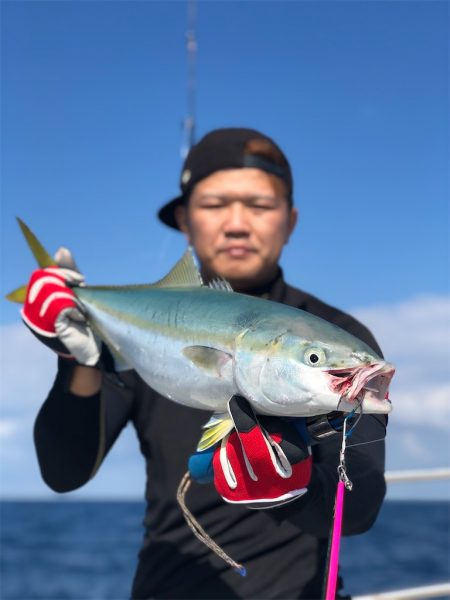 シーマン 釣果