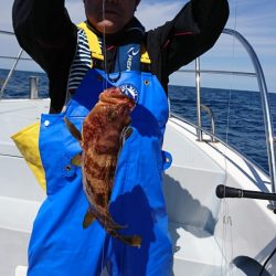 海龍丸（福岡） 釣果