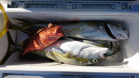 海龍丸（福岡） 釣果