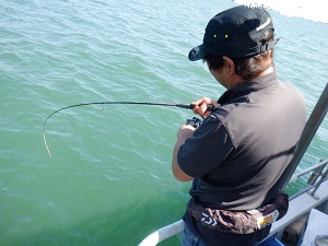 遊漁船 幸友丸 釣果