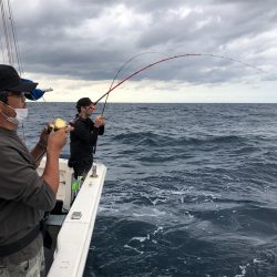 シーマン 釣果