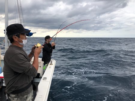 シーマン 釣果