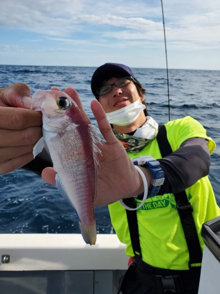 珀宝丸 釣果