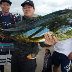 浅間丸 釣果