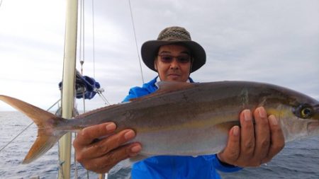 牛若丸 釣果