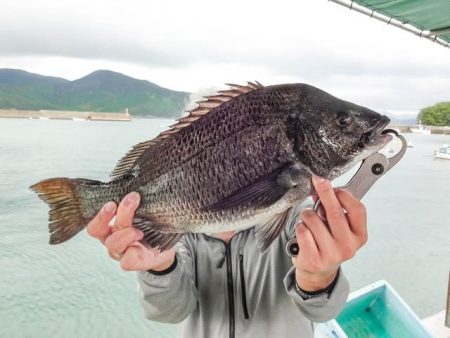 栄丸 釣果