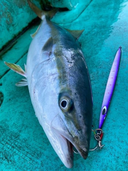 広進丸 釣果